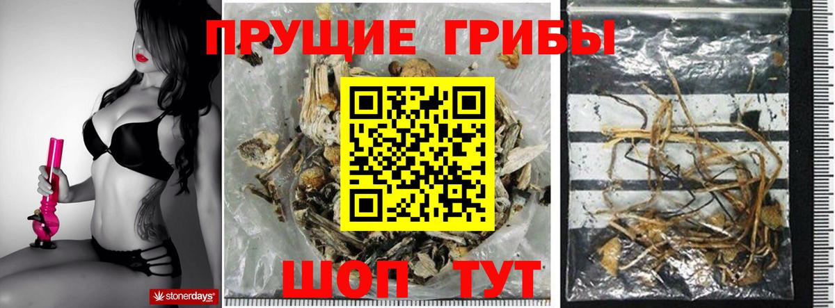 Жуковский  Галлюциногенные грибы мицелий  Вход с VPN  Галлюциногенные грибы MAGIC MUSHROOMS 