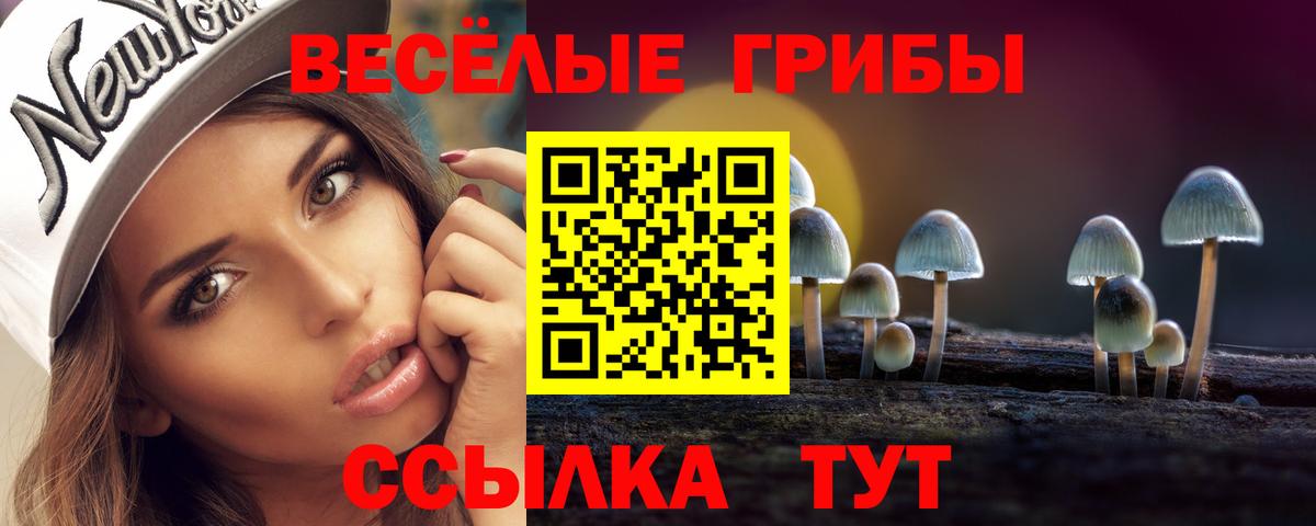 Псилоцибиновые грибы прущие грибы Жуковский